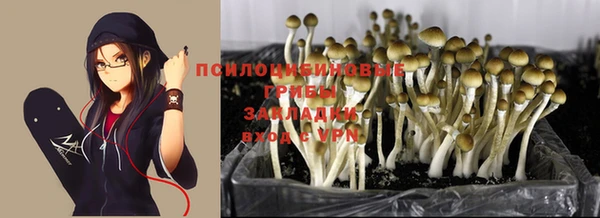 героин Верея