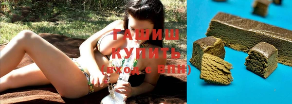 дмт Богородицк