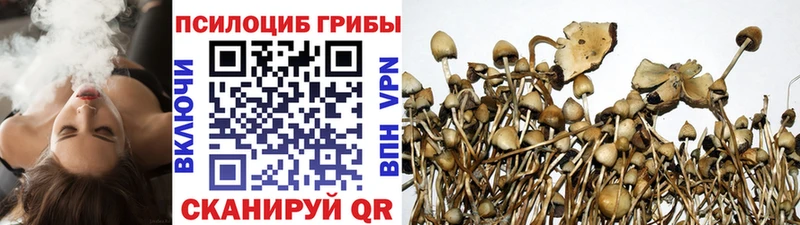 мега как зайти Балаково Псилоцибиновые грибы Magic Shrooms